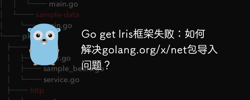 Go get Iris框架失败:如何解决golang.org/x/net包导入问题?