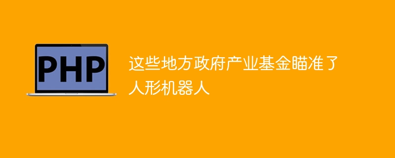 这些地方政府产业基金瞄准了人形机器人