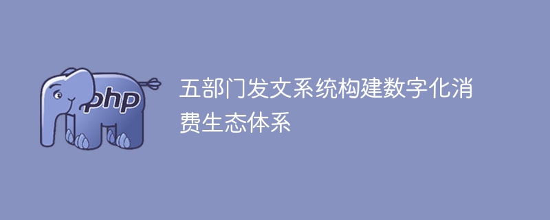 五部门发文系统构建数字化消费生态体系