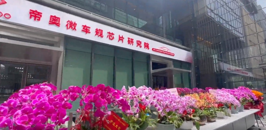 帝奥微2024年营收暴涨38%，PMIC产品功不可没