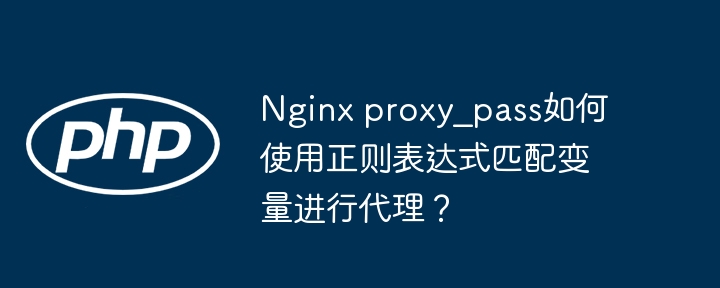 Nginxproxy_pass如何用正则匹配变量进行代理设置?