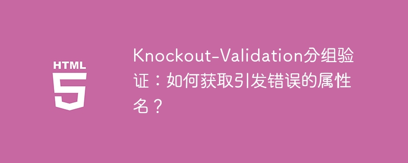 Knockout-Validation分组验证,获取错误属性名技巧