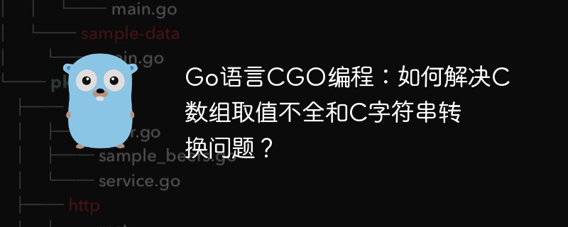 Go语言CGO编程：搞定C数组取值与字符串转换