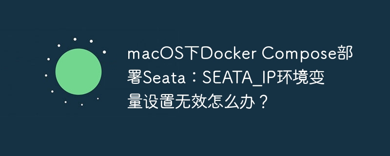 macOS下DockerCompose部署Seata时,解决SEATA_IP环境变量设置无效问题