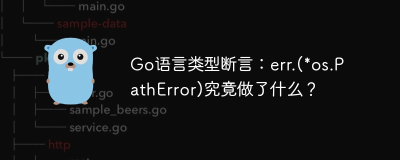 Go语言类型断言:err.(\*os.PathError)到底啥用?