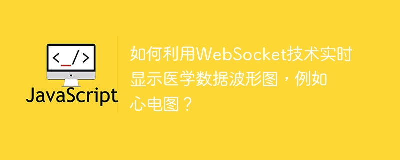 WebSocket实时显示心电图波形攻略