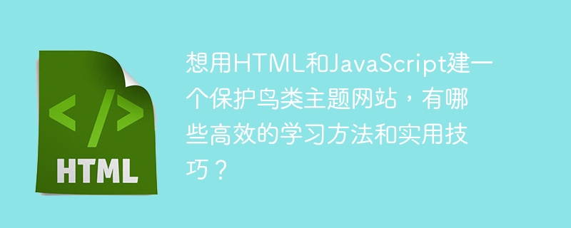 input:如何快速构建一个保护鸟类主题的网站