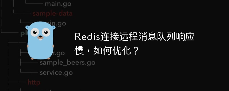 Redis远程消息队列慢？优化技巧大揭秘