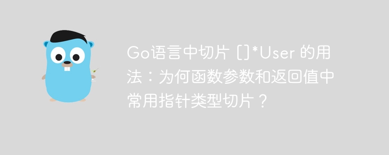 Go语言中切片 []*User 的用法：为何函数参数和返回值中常用指针类型切片？
