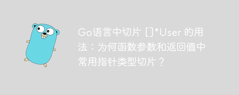 Go语言中切片 []*User 的用法：为何函数参数和返回值中常用指针类型切片？
