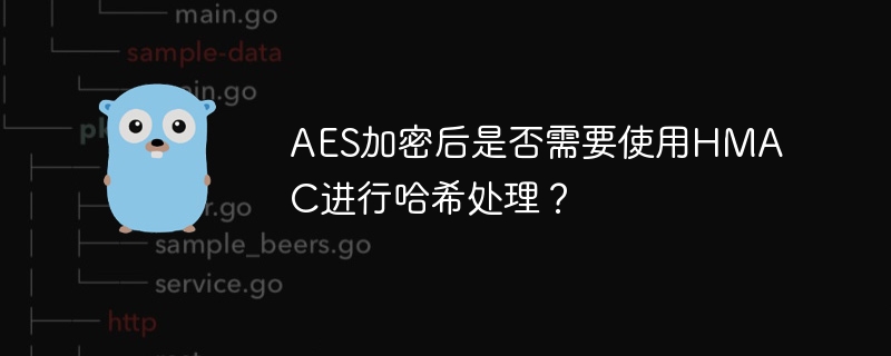AES加密后是否需要使用HMAC进行哈希处理？
