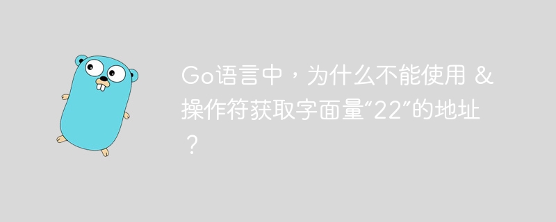 Go语言中，为什么不能使用 & 操作符获取字面量“22”的地址？