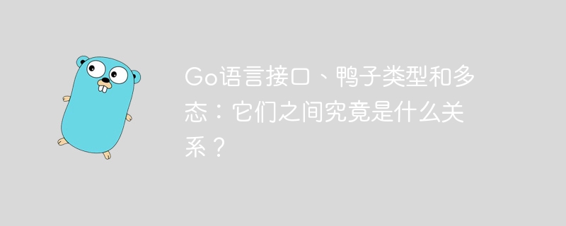 Go语言接口、鸭子类型和多态：它们之间究竟是什么关系？
