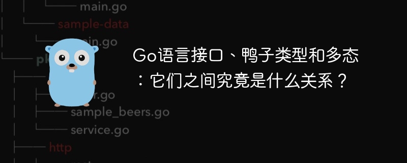 Go语言接口、鸭子类型和多态：它们之间究竟是什么关系？