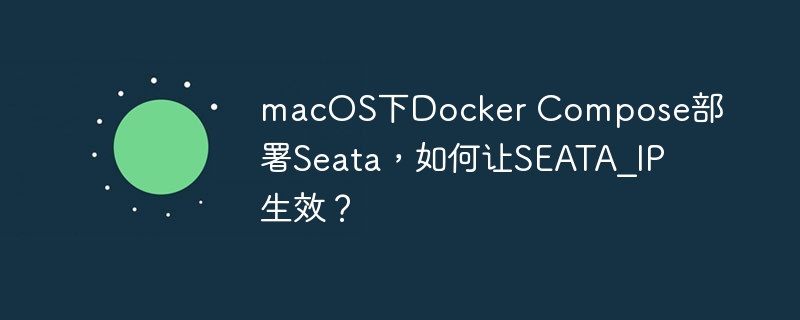 macOS下Docker Compose部署Seata，如何让SEATA_IP生效？