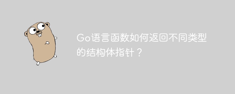 Go语言函数返回不同类型结构体指针技巧