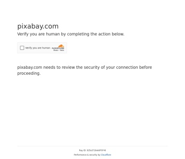Pixabay：免费高清图片和视频资源库，全球可使用
