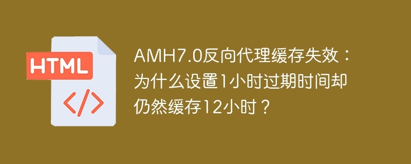 AMH7.0反向代理缓存为何设1小时却12小时?