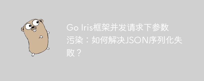 GoIris框架并发请求参数污染,解决JSON序列化失败攻略
