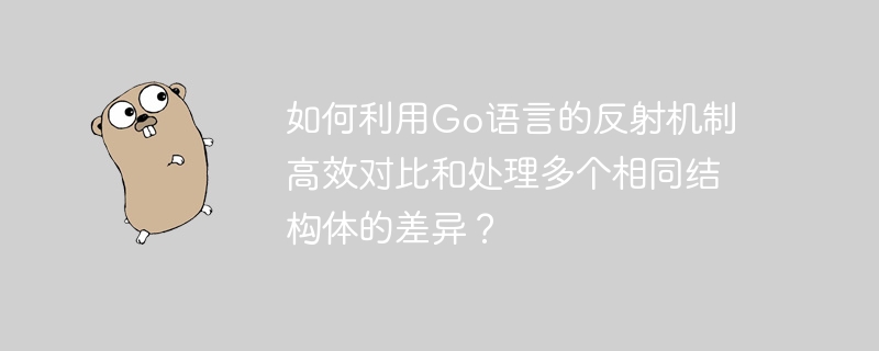 Go语言反射高效处理相同结构体差异方法