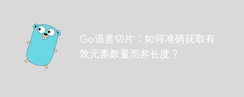 Go语言切片：巧获取有效元素数量
