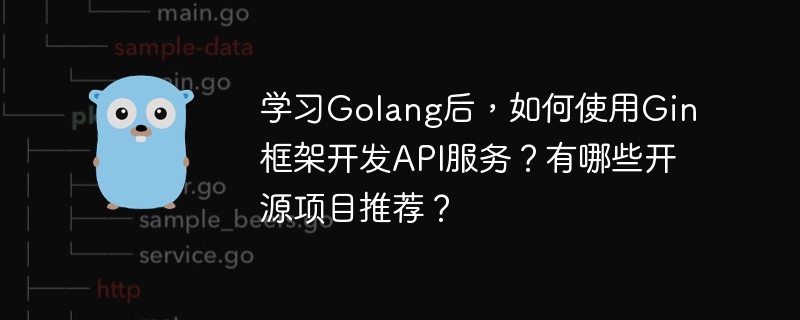 Gin框架开发GolangAPI服务指南及推荐开源项目