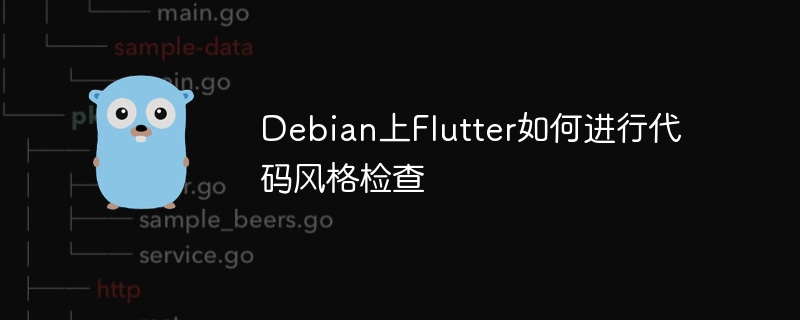 Debian上Flutter代码风格检查攻略