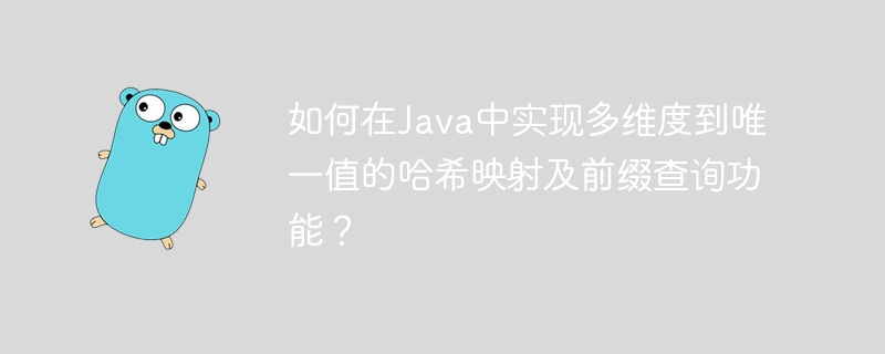 如何在Java中实现多维度到唯一值的哈希映射及前缀查询功能？