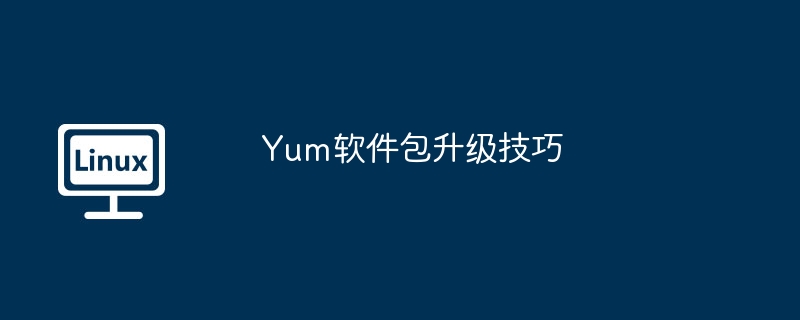 Yum软件包升级的小技巧