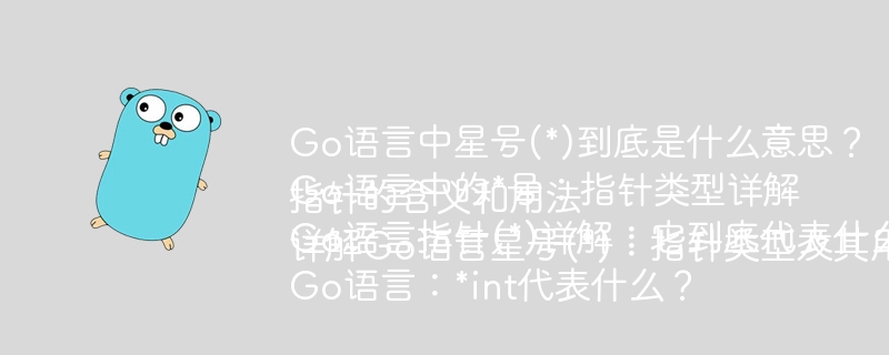 Go语言星号(\*):指针类型详解与应用