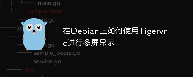 Debian上Tigervnc多屏显示设置攻略