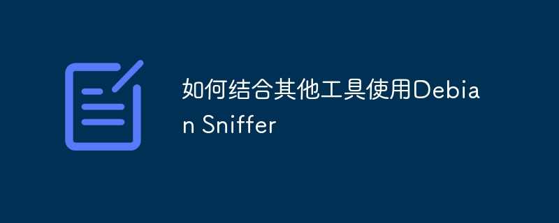 DebianSniffer结合其他工具的使用技巧