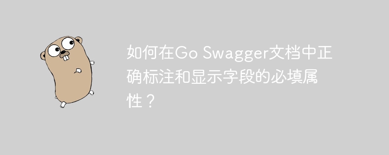 如何在Go Swagger文档中正确标注和显示字段的必填属性？