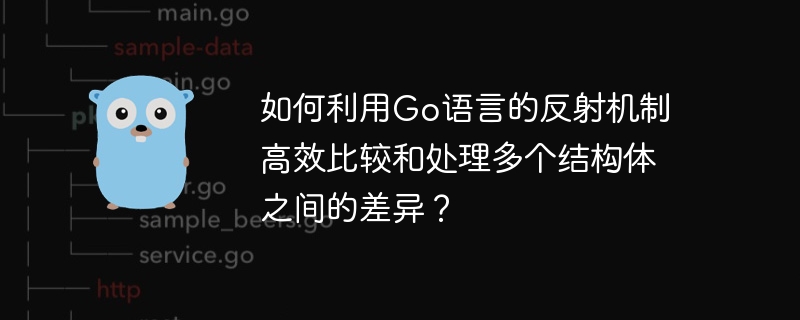 如何利用Go语言的反射机制高效比较和处理多个结构体之间的差异？