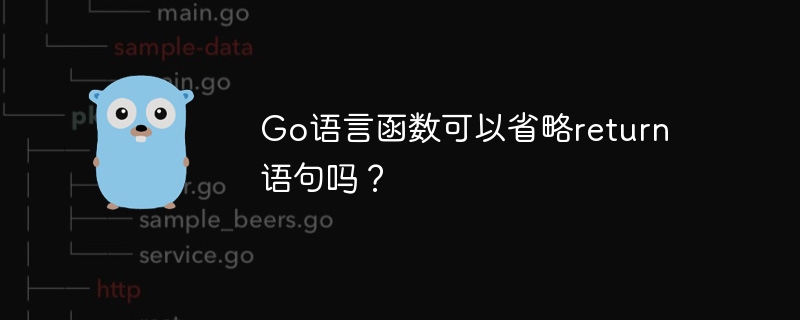 Go语言函数可以省略return语句吗？