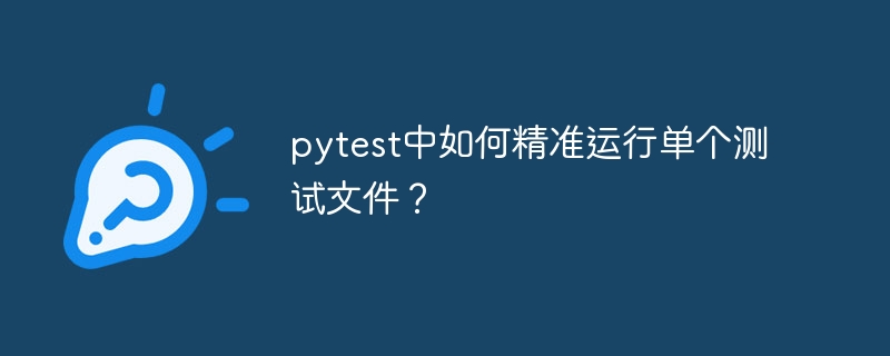 pytest精准运行单个测试文件方法