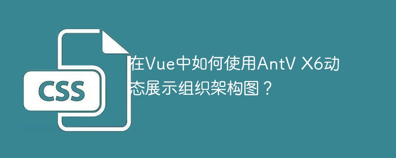 在Vue中如何使用AntV X6动态展示组织架构图？