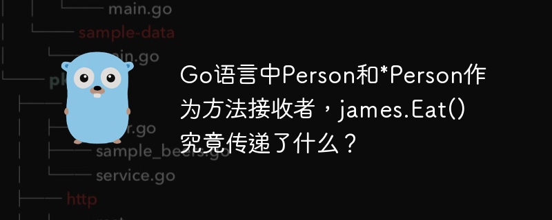 Go语言中Person和*Person作为方法接收者，james.Eat()究竟传递了什么？