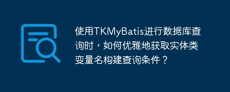TKMyBatis优雅获取实体类变量名构建查询