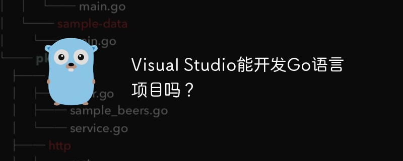 VisualStudio开发Go项目实用指南