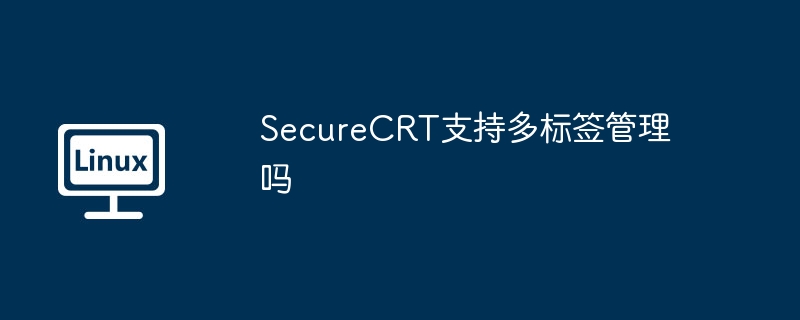SecureCRT多标签管理功能深度解析
