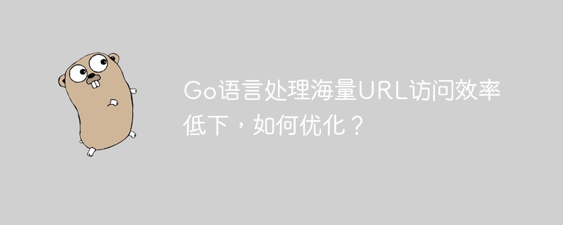 Go语言处理海量URL访问效率低下，如何优化？