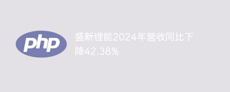 盛新锂能2024年营收同比下降42.38%