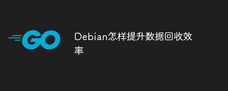 Debian怎样提升数据回收效率