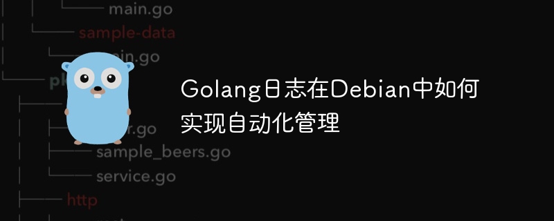 Golang日志在Debian中如何实现自动化管理