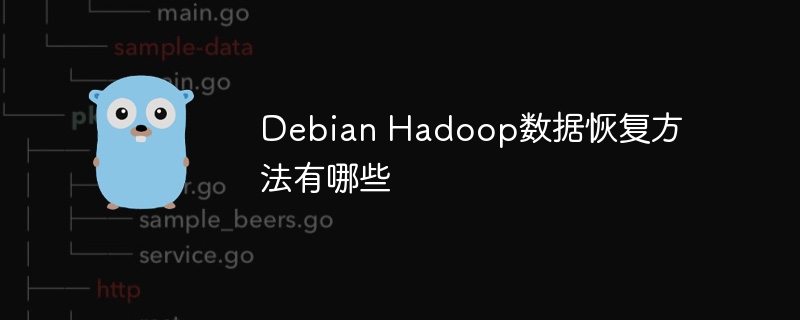 DebianHadoop数据恢复技巧与方法