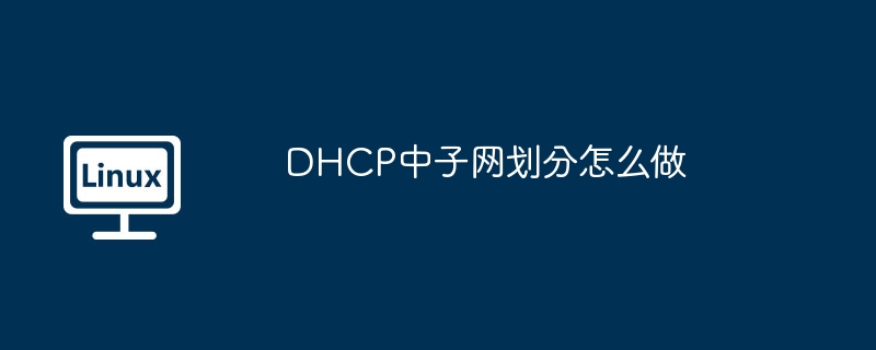 DHCP子网划分详细攻略