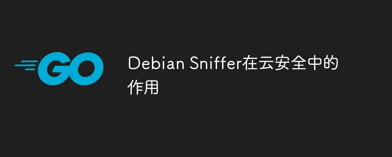 DebianSniffer在云安全中的重要作用