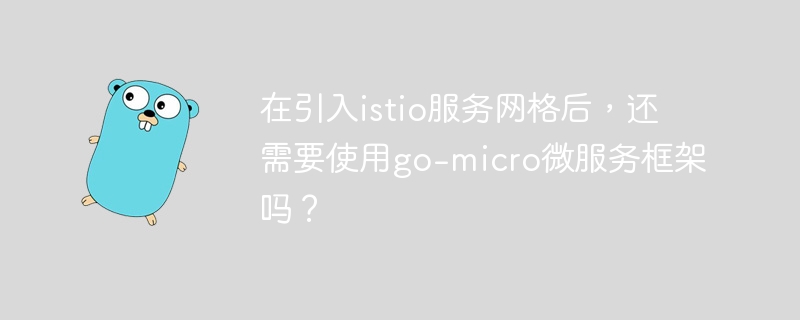 在引入istio服务网格后，还需要使用go-micro微服务框架吗？