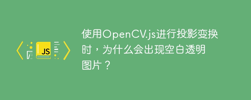 使用OpenCV.js进行投影变换时，为什么会出现空白透明图片？